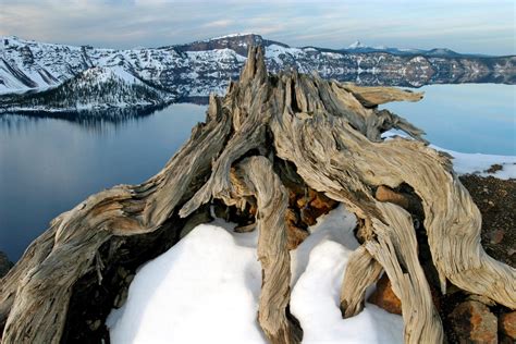 Best Winter Hikes in National Parks