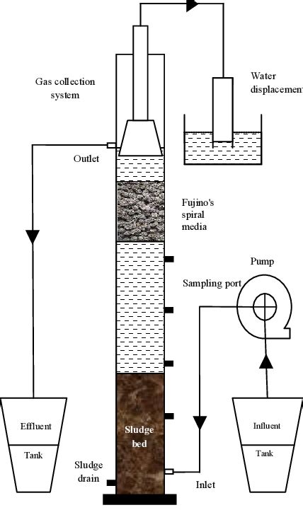 Schematic view of laboratory scale hybrid UASB reactor. | Download Scientific Diagram