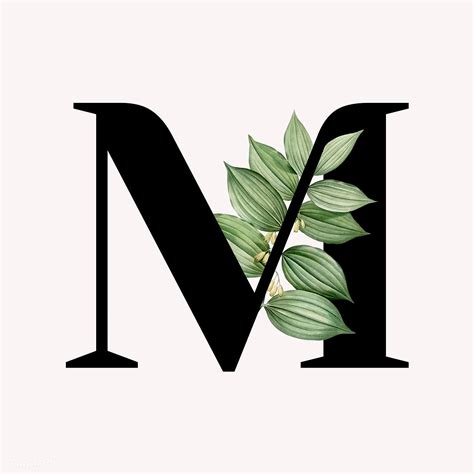 Botanical capital letter M illustration | premium image by rawpixel.com / Aum / Donlaya / Kappy ...