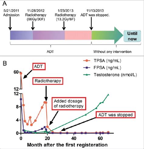 Treatment regimen and laboratory test results during and after... | Download Scientific Diagram