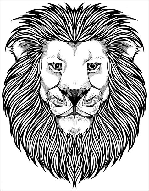 Lion Coloring Pages - ColoringBay