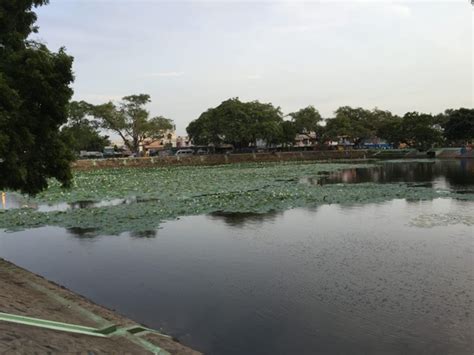 “Pallikaranai Thamarai Kulam” – Lakes of India