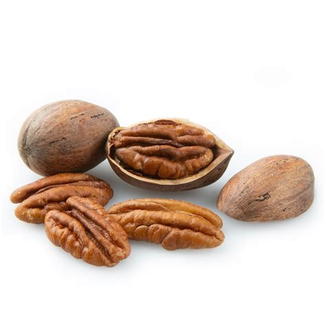 Pecans in Shell - Bulk Pecans in Shell • Oh! Nuts®