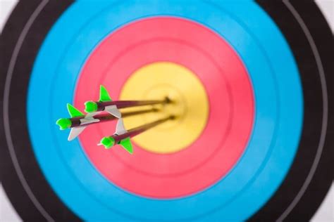 What are the Different Types of Archery Targets? - The Complete Guide to Archery