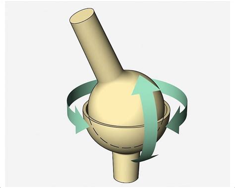 Print of Illustration, ball and socket joint, arrows indicating ...