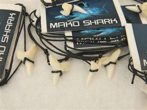 Mako Shark Teeth CodeMS021 | Pearlyseashells