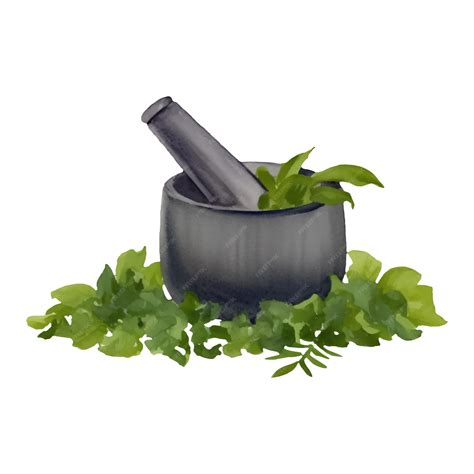 Premium Vector | Stone mortar and pestle with herbs isolated hand drawn ...