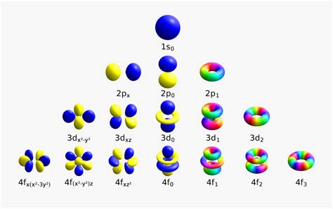 Atomic Orbitals Spdf M-eigenstates And Superpositions - Electron Orbitals , Free Transparent ...