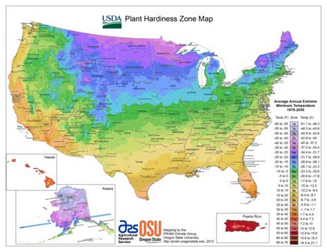 Usda Hardiness Zone Finder - Garden - Florida Growing Zones Map | Printable Maps