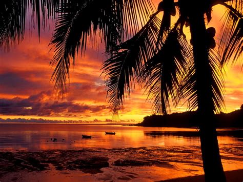 🔥 [40+] Tropical Sunset Wallpapers Free | WallpaperSafari