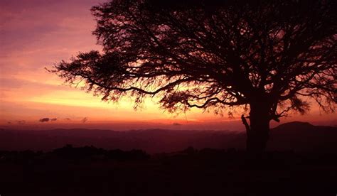 File:Ngorongoro-Crater-Sunrise-lge.jpg - Wikimedia Commons