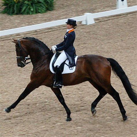 Dressage Olympics 2024 Election Map - Neely Tamarah