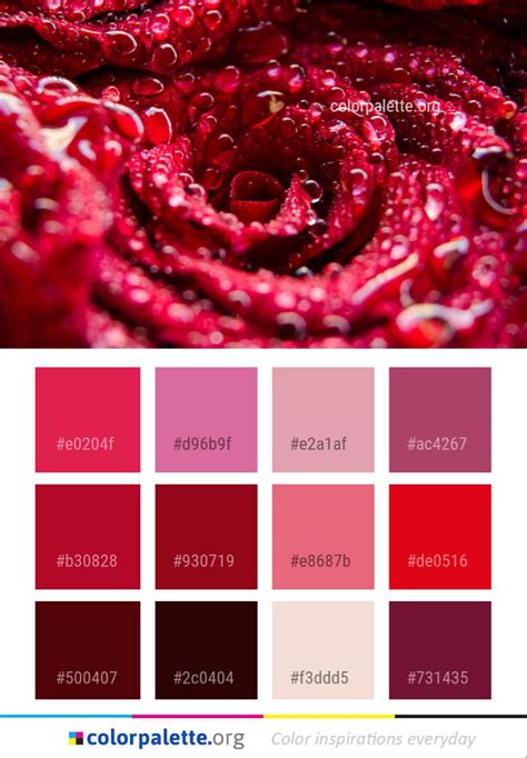 Amaranth color palette