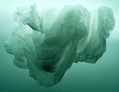 plastic-bag-modbury | Max Lee | Flickr