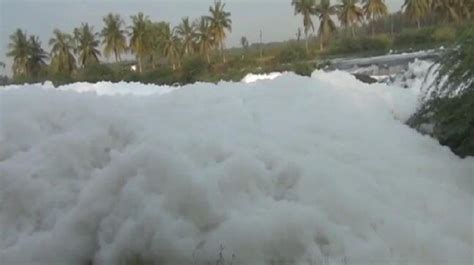 Industrial pollution leads to frothing in Tamil Nadu river | IndiaToday