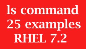 ls command - ARKIT
