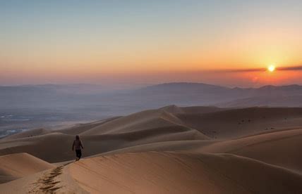 Liwa Oasis Full Day Safari | Abu Dhabi Desert Safari Tours