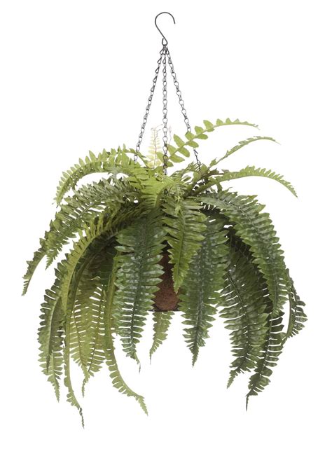 OakRidge Fully Assembled Artificial Fern Hanging Basket – Indoor ...