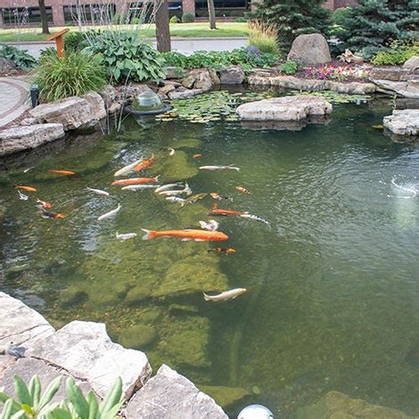 Small Pond Waterfall Ideas - The Pond Guy