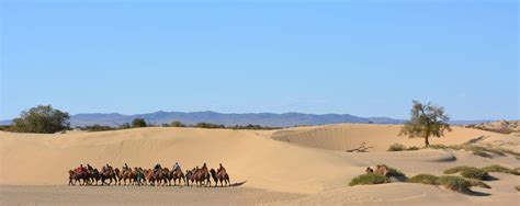 Mongolia Photography Tours > Mongolia Photo Tour with Amicus Travel