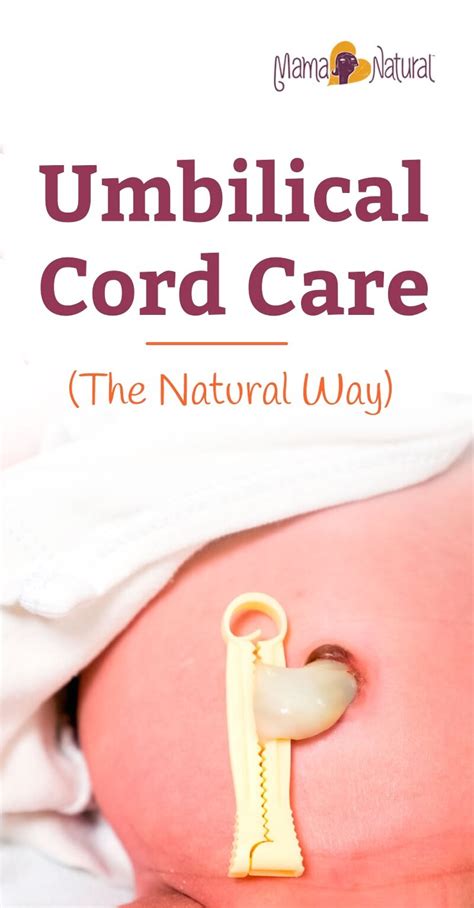 Umbilical Cord in Newborns: How to Care for It Naturally