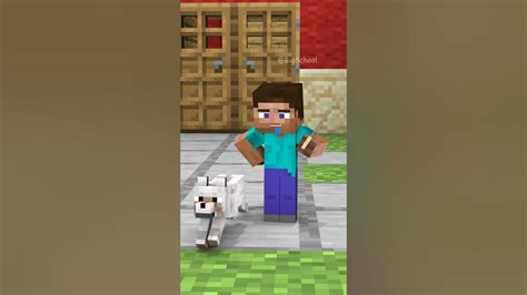 Baby Herobrine pranks the dog and the end #shorts - YouTube