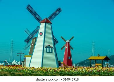 Vector Illustration Landscape Dutch Tulips Windmills Stock Vector ...