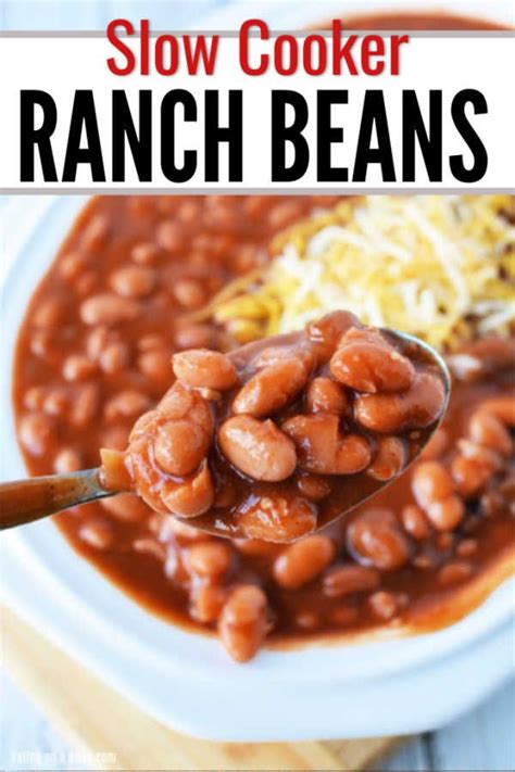 slow cooker ranch beans in a white bowl with a ladle full of beans