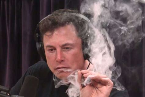 Tesla stock falls as Elon Musk smokes marijuana during Joe Rogan Experience podcast - ABC News