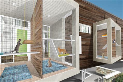 $7 Million Cat Shelter Construction To Break Ground Next Month - Uptown ...