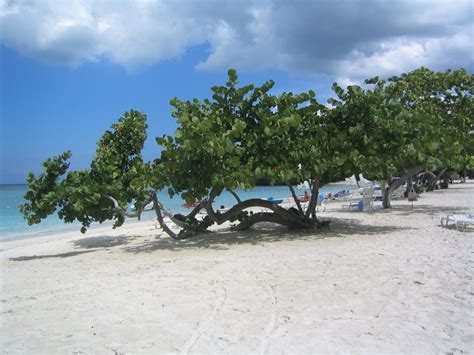 Cuba Holguin wonderful beach Cuba Holguin, See It, Wonder, Patio, Places, Beach, Outdoor Decor ...