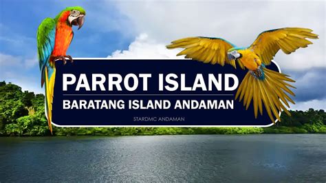 Parrot Island - Baratang || Andaman & Nicobar Islands - YouTube