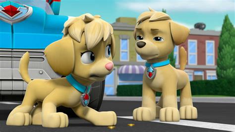 Watch PAW Patrol Season 6 Episode 10: PAW Patrol - Mighty Pups, Super Paws: Pups Save a Giant ...