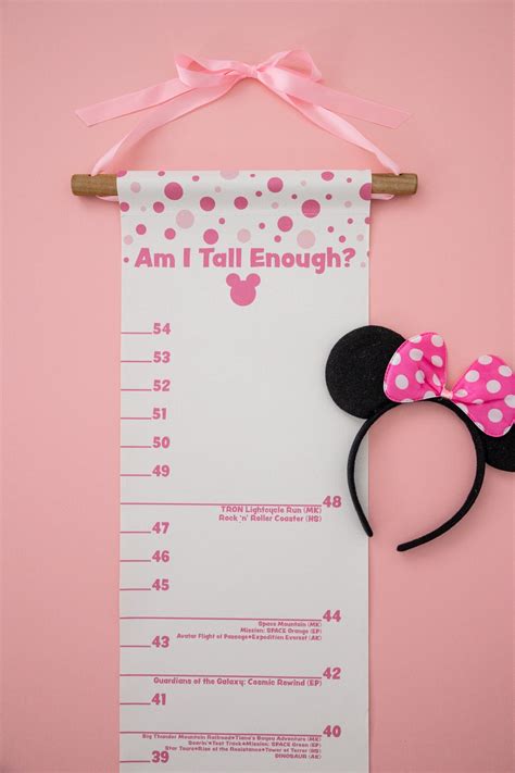 Disney World Pink Ride Height Growth Chart - Etsy