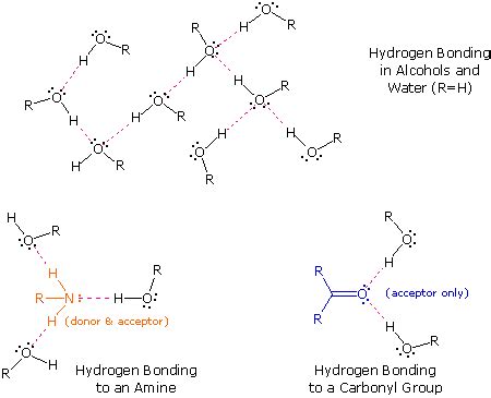 Hydrogen Bonding - Chemistry LibreTexts