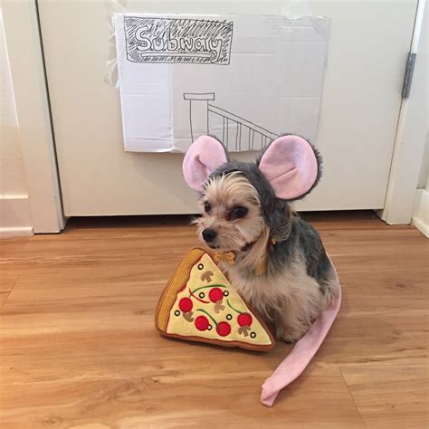 Barkzilla: A Savvy NYC Dog Blog: Pizza Rat Dog Costume!