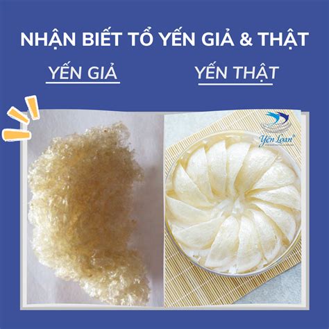 MUA YẾN SÀO Ở ĐÂU TỐT NHẤT, ĐẢM BẢO CHẤT LƯỢNG NHẤT