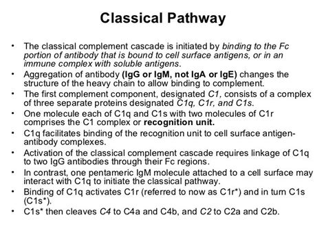 Classical pathway of complement activation ppt background – Telegraph