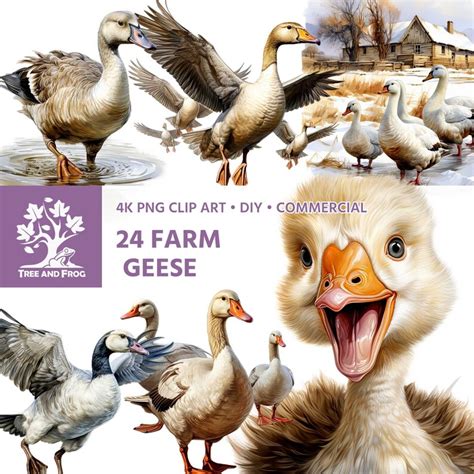 24 PNG Farm Geese Clipart Cute Baby Goose Pose Scene - Etsy UK