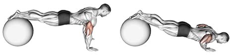 Exercise Database (Chest33) - Stability Ball Decline Push Ups — Jase ...