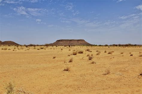 Premium Photo | Sahara desert of sudan