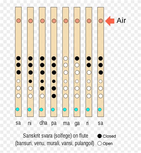 Bansuri Ancient Bamboo Flute Sanskrit Swara - Flute Notes English, HD Png Download - 1234x1024 ...