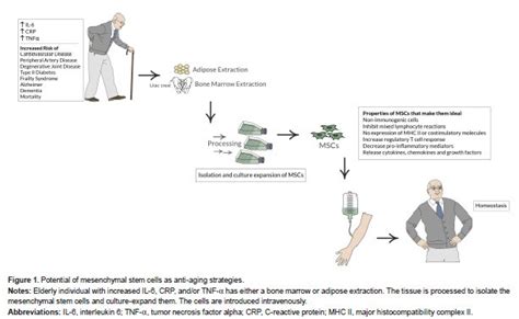 Difference Between Allogeneic and Autologous Transplant | Compare the Difference Between Similar ...