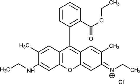 The chemical structure of Rhodamine 6G. | Download Scientific Diagram