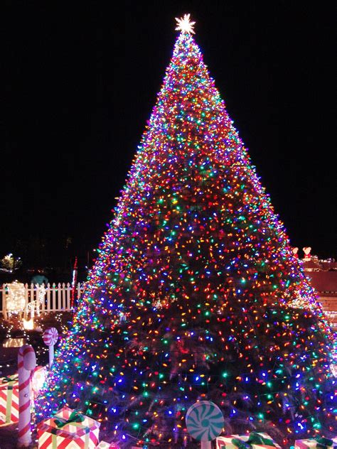 11 Awesome And Dazzling Christmas Tree Lights Ideas - Awesome 11