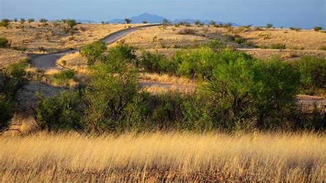 Empire Ranch Road | Arizona Highways