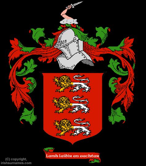 O'Brien Coat of Arms, Family Crest - Free Image to View - O'Brien Name Origin History and ...