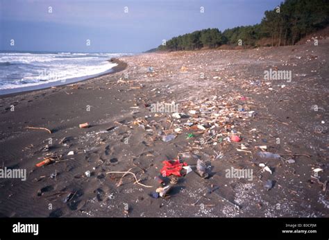 Pollution on Black Sea beach, Georgia Stock Photo - Alamy