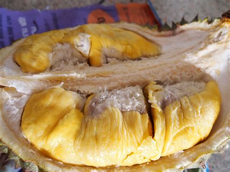 Updated Guide to 234 Thailand Durian Varieties