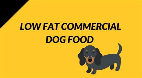 Top Commercial Low Fat Dog Foods for Weight Management